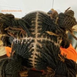 how to start dreads