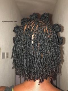 hairstyles for short locs 2