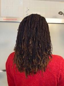 interlocs vs sisterlocks vs palm-rolled locks