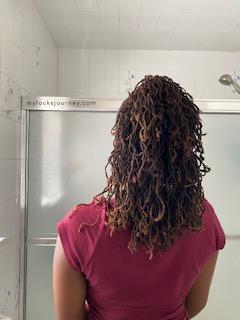 curly locs - microlocs