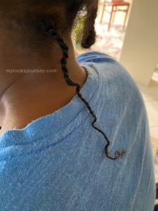 how to start locs - two strand twists