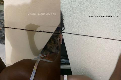 loc grooming frizzy locs