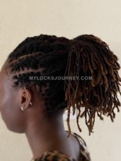 cornrows with locs microlocs sisterlocks